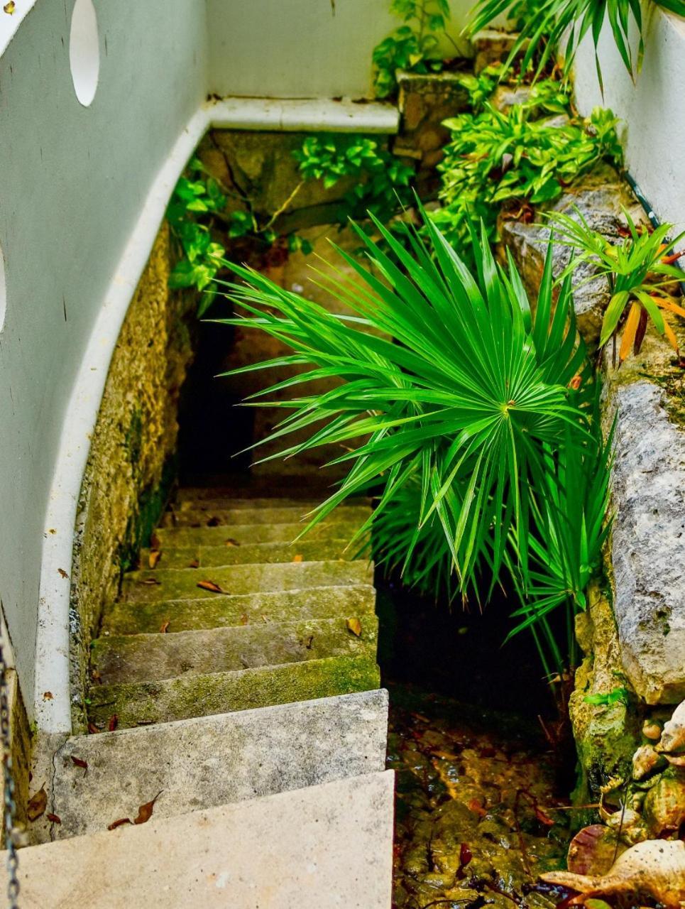 Отель El Tropical Плая-дель-Кармен Экстерьер фото